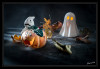 Dateiname=2025_10_Halloween_mit_Rauch_02.jpg
Dateigröße=611KB
Abmessungen: 1200x830
hinzugefügt am: 30. Oktober 2025 2025_10_Halloween_mit_Rauch_02.jpg