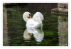 Dateiname=2025_10_Hoeckerschwan_05.jpg
Dateigröße=634KB
Abmessungen: 1200x831
hinzugefügt am: 21. Oktober 2025 2025_10_Hoeckerschwan_05.jpg