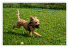 Dateiname=2026_08_Peach_08.jpg
Dateigröße=929KB
Abmessungen: 1200x831
hinzugefügt am: 06. September 2026 2026_08_Peach_08.jpg