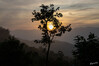 Dateiname=20_09__Periyar-Nationalpark_Morgens_03.jpg
Dateigröße=644KB
Abmessungen: 1200x800
hinzugefügt am: 26. Oktober 2024 20_09__Periyar-Nationalpark_Morgens_03.jpg