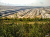 Dateiname=22c1e39c81-7300-435a-af81-8971cec41bc2.jpg
Dateigröße=793KB
Abmessungen: 1040x780
hinzugefügt am: 14. September 2020 22c1e39c81-7300-435a-af81-8971cec41bc2.jpg