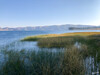 Dateiname=2_Bolivien_Titicacasee_09.jpg
Dateigröße=1042KB
Abmessungen: 1200x900
hinzugefügt am: 25. November 2023 2_Bolivien_Titicacasee_09.jpg