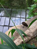 Dateiname=2_Zoom_Gerlinde_20220915_185903.jpg
Dateigröße=1073KB
Abmessungen: 906x1200
hinzugefügt am: 18. September 2022 2_Zoom_Gerlinde_20220915_185903.jpg