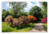 Dateiname=3Schloss_Heltorf_Rhododendron_Landschaft_14.jpg
Dateigröße=1492KB
Abmessungen: 1200x829
hinzugefügt am: 20. Mai 2026 3Schloss_Heltorf_Rhododendron_Landschaft_14.jpg