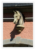 Dateiname=3_Schloss_Wickrath_Pferdekopf_01.jpg
Dateigröße=768KB
Abmessungen: 847x1200
hinzugefügt am: 18. August 2024 3_Schloss_Wickrath_Pferdekopf_01.jpg