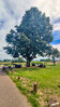 Dateiname=3~21.JPG
Dateigröße=562KB
Abmessungen: 721x1280
hinzugefügt am: 12. Juli 2023 3~21.JPG
