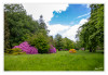 4Schloss_Heltorf_Rhododendron_Landschaft_12.jpg