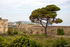 Dateiname=4_Procida_Gefaengnis_02.jpg
Dateigröße=1075KB
Abmessungen: 1200x800
hinzugefügt am: 25. Mai 2023 4_Procida_Gefaengnis_02.jpg