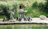 4_Z_K-H_Hoepfner_Pinguine_.jpg