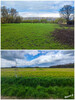 Dateiname=4cf8eb39-e61d-4394-8247-beeb5f0dcbf3.JPG
Dateigröße=686KB
Abmessungen: 960x1280
hinzugefügt am: 26. April 2023 4cf8eb39-e61d-4394-8247-beeb5f0dcbf3.JPG