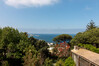 Dateiname=5_Botanischer_Garten_La_Mortella_Ausblick_18.jpg
Dateigröße=1043KB
Abmessungen: 1200x800
hinzugefügt am: 23. Mai 2022 5_Botanischer_Garten_La_Mortella_Ausblick_18.jpg