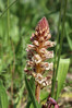 Dateiname=6_Hausberg_Panza_Wildblume__01.jpg
Dateigröße=712KB
Abmessungen: 800x1200
hinzugefügt am: 03. Juni 2023 6_Hausberg_Panza_Wildblume__01.jpg