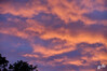 Dateiname=Abendrot.jpg
Dateigröße=465KB
Abmessungen: 1200x800
hinzugefügt am: 02. September 2023 Abendrot.jpg