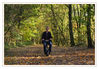 Dateiname=Alex_im_Herbst_auf_Charly_04.jpg
Dateigröße=709KB
Abmessungen: 850x594
hinzugefügt am: 05. November 2011 Alex_im_Herbst_auf_Charly_04.jpg
