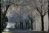 Dateiname=Allee_04.jpg
Dateigröße=265KB
Abmessungen: 850x567
hinzugefügt am: 16. Januar 2008 Allee_04.jpg