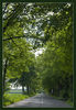 Dateiname=Allee_1_Kopie.jpg
Dateigröße=332KB
Abmessungen: 587x850
hinzugefügt am: 15. Mai 2010 Allee_1_Kopie.jpg