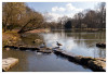 Alles_im_Park_Marianne_Kanadagaense.jpg