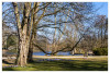 Alles_im_Park_Marianne_Volksgarten.jpg