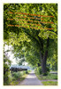 Dateiname=Altes_und_Neues.jpg
Dateigröße=1305KB
Abmessungen: 830x1200
hinzugefügt am: 10. Mai 2020 Altes_und_Neues.jpg