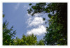 Am_Himmel_Wolkenfetzen_Marianne.jpg
