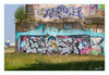 Am_Rhein_Graffiti_014.jpg