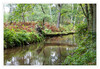 Dateiname=Am_Venekotensee_Im_Wald_Brueckenersatz_01.jpg
Dateigröße=1214KB
Abmessungen: 1200x829
hinzugefügt am: 04. Oktober 2021 Am_Venekotensee_Im_Wald_Brueckenersatz_01.jpg