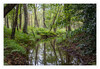 Dateiname=Am_Venekotensee_Im_Wald_k_01.jpg
Dateigröße=1371KB
Abmessungen: 1200x829
hinzugefügt am: 04. Oktober 2021 Am_Venekotensee_Im_Wald_k_01.jpg