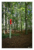 Dateiname=Ampel_im_Wald_03.jpg
Dateigröße=1581KB
Abmessungen: 829x1200
hinzugefügt am: 21. Oktober 2026 Ampel_im_Wald_03.jpg