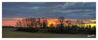 Dateiname=Auf_dem_Feld_morgens_Pano_04.jpg
Dateigröße=406KB
Abmessungen: 1024x418
hinzugefügt am: 14. Januar 2015 Auf_dem_Feld_morgens_Pano_04.jpg
