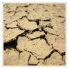 Dateiname=Ausgetrocknet_02.jpg
Dateigröße=559KB
Abmessungen: 850x850
hinzugefügt am: 03. Juli 2013 Ausgetrocknet_02.jpg