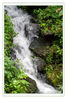 Dateiname=Bach_02_m_R_.jpg
Dateigröße=614KB
Abmessungen: 577x850
hinzugefügt am: 26. September 2012 Bach_02_m_R_.jpg