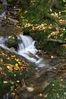 Dateiname=Bach_26.jpg
Dateigröße=279KB
Abmessungen: 567x850
hinzugefügt am: 11. Oktober 2008 Bach_26.jpg