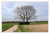 Dateiname=Baeume_und_Straeucher_Wegkreuzung_01.jpg
Dateigröße=1052KB
Abmessungen: 1200x830
hinzugefügt am: 23. März 2023 Baeume_und_Straeucher_Wegkreuzung_01.jpg