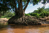Dateiname=Bambusflossfahrt_Landschaft_010.jpg
Dateigröße=775KB
Abmessungen: 850x567
hinzugefügt am: 30. Juni 2014 Bambusflossfahrt_Landschaft_010.jpg