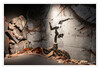 Dateiname=Banksy_Ukraine_01.jpg
Dateigröße=815KB
Abmessungen: 1200x832
hinzugefügt am: 25. April 2024 Banksy_Ukraine_01.jpg