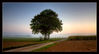 Dateiname=Bei_uns_auf_dem_Dorf_17_Kopie.jpg
Dateigröße=319KB
Abmessungen: 1024x556
hinzugefügt am: 22. Oktober 2010 Bei_uns_auf_dem_Dorf_17_Kopie.jpg
