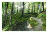 Dateiname=Binz_Wald_Gegenlicht_kk_03.jpg
Dateigröße=754KB
Abmessungen: 1024x710
hinzugefügt am: 12. Juli 2017 Binz_Wald_Gegenlicht_kk_03.jpg
