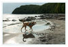 Dateiname=Binz_am_Strand_26.jpg
Dateigröße=611KB
Abmessungen: 1024x710
hinzugefügt am: 12. Juli 2017 Binz_am_Strand_26.jpg