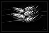 Dateiname=Black_and_White_05.jpg
Dateigröße=276KB
Abmessungen: 1024x710
hinzugefügt am: 07. September 2017 Black_and_White_05.jpg