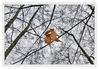 Dateiname=Blatt_01_Kopie.jpg
Dateigröße=591KB
Abmessungen: 850x591
hinzugefügt am: 31. Dezember 2013 Blatt_01_Kopie.jpg