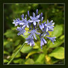 Dateiname=Blau_01.jpg
Dateigröße=427KB
Abmessungen: 850x850
hinzugefügt am: 28. August 2011 Blau_01.jpg