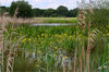 Dateiname=Blick_ueber_die_Lippeaue_01.jpg
Dateigröße=713KB
Abmessungen: 850x563
hinzugefügt am: 23. Juni 2014 Blick_ueber_die_Lippeaue_01.jpg