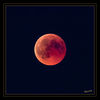 Dateiname=Blutmond_19.jpg
Dateigröße=496KB
Abmessungen: 850x850
hinzugefügt am: 28. Juli 2018 Blutmond_19.jpg