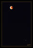 Dateiname=Blutmond_und_Mars_02.jpg
Dateigröße=300KB
Abmessungen: 711x1024
hinzugefügt am: 28. Juli 2018 Blutmond_und_Mars_02.jpg