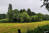 Dateiname=Born_P1060862~2.JPG
Dateigröße=1183KB
Abmessungen: 1200x800
hinzugefügt am: 07. Juni 2021 Born_P1060862~2.JPG