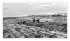 Dateiname=Braunkohletagebau_Hambach_12.jpg
Dateigröße=376KB
Abmessungen: 1024x611
hinzugefügt am: 19. April 2019 Braunkohletagebau_Hambach_12.jpg