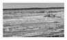 Dateiname=Braunkohletagebau_Hambach_13.jpg
Dateigröße=438KB
Abmessungen: 1024x614
hinzugefügt am: 20. April 2019 Braunkohletagebau_Hambach_13.jpg