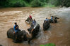 Dateiname=Chiangmai_Maetaman__Elefantenbaden_08.jpg
Dateigröße=605KB
Abmessungen: 850x567
hinzugefügt am: 29. Juni 2011 Chiangmai_Maetaman__Elefantenbaden_08.jpg