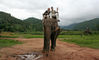 Chiangmai_Maetaman__Elefantentour_Wir_Zwei_07_geschärft_.jpg