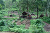 Dateiname=Chiangmai_Maetaman__Floßfahrt__Impressionen__02.jpg
Dateigröße=988KB
Abmessungen: 1024x682
hinzugefügt am: 26. Juni 2011 Chiangmai_Maetaman__Floßfahrt__Impressionen__02.jpg